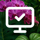 Rilhax branding image left 2