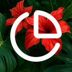 Rilhax branding image left 3